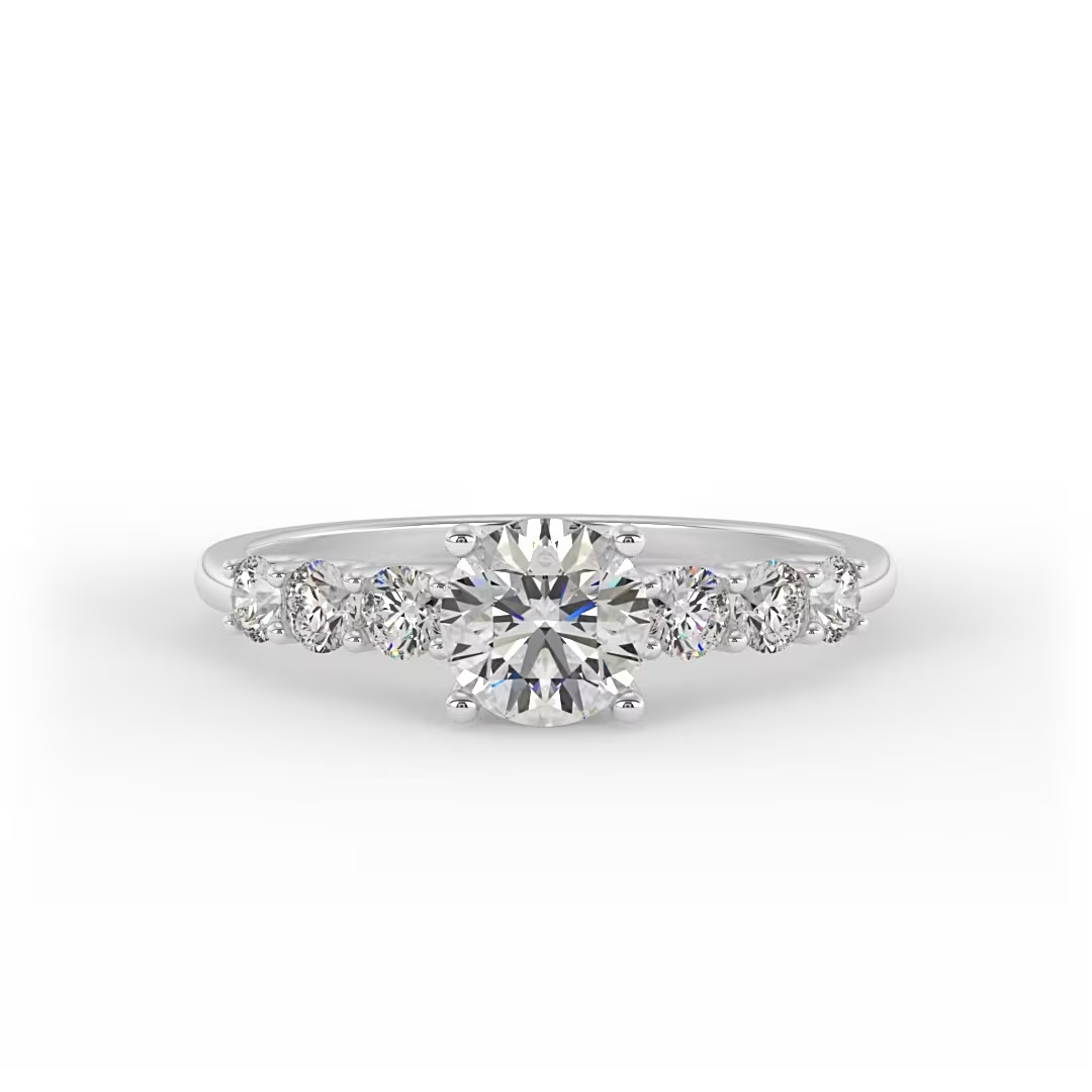 0048_horizontal_cam_horizontal_1x1_0 (2)