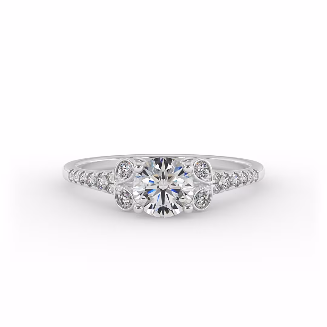 0060_horizontal_cam_horizontal_1x1_0_p (2)